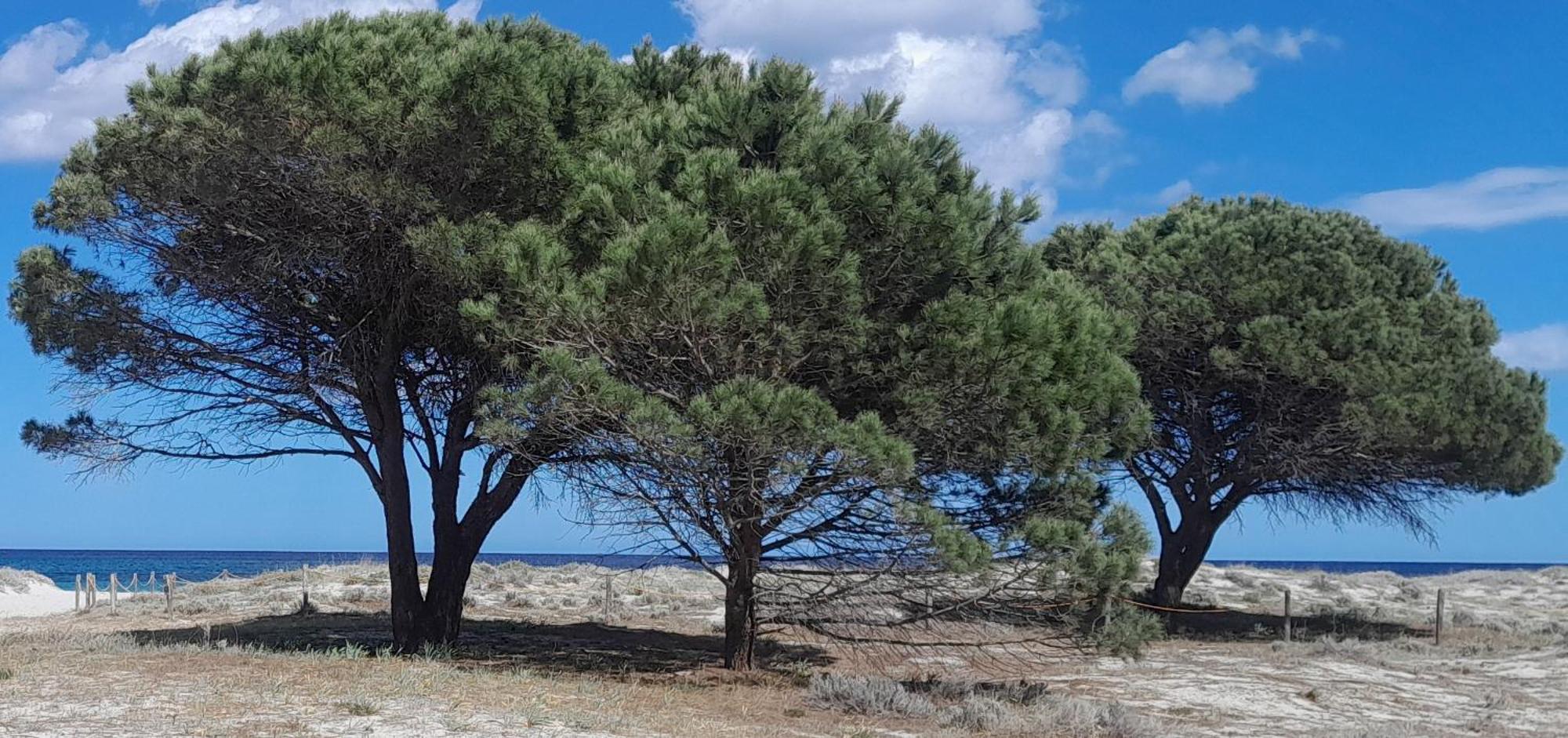 Resort Abbaia Ba 布多尼 外观 照片