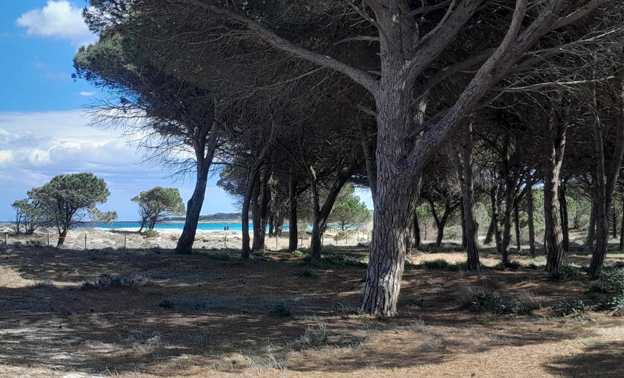Resort Abbaia Ba 布多尼 外观 照片
